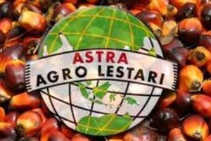 Per November, Produksi CPO Astra Agro 1,61 Juta Ton